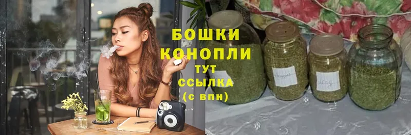 Шишки марихуана гибрид  где можно купить   Ельня 